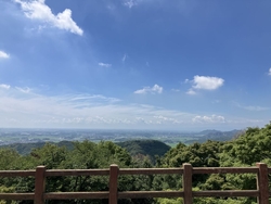 午前中の平日は...