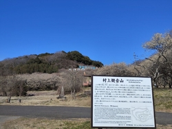 梅が見頃だと知...