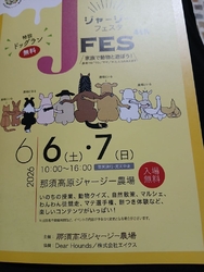 ジャージー牛乳...
