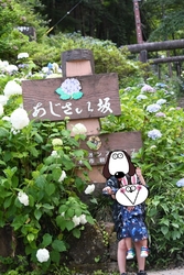 家族で紫陽花を...