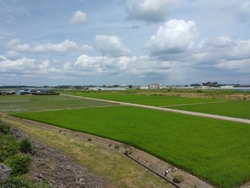 久し振りに箕輪...