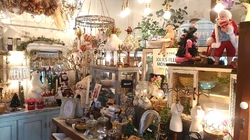 素敵な雰囲気の...