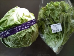 野菜が安い!新...