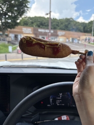 たまごっちのハ...