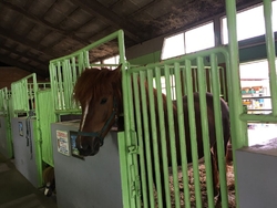 湖の周りをゆっ...