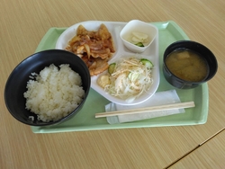 自分の過去の投...