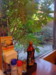 料亭っぽい雰囲...