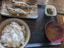 5歳の孫が鮎が...