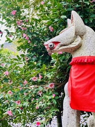 太平山神社にお...