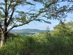 ずっと行きたい...