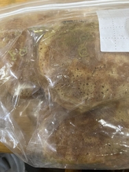 今日は、特別な...