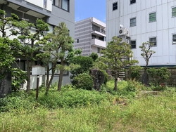 宇都宮市の中心...