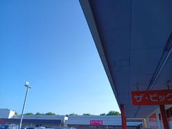 DAISO...