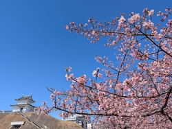 皆さんのクチコ...