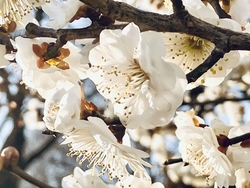 たまたま通りか...