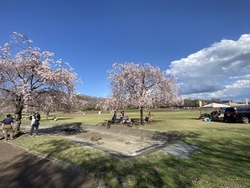 家族でお花見へ...