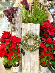 土曜日は、比較...