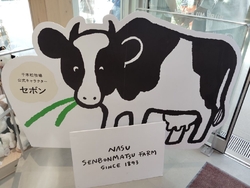 今日は、那須塩...