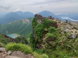 沢山の花が咲く...