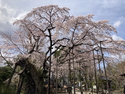 宇都宮市民とし...