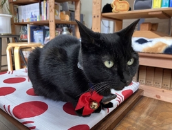 2月の3連休の...