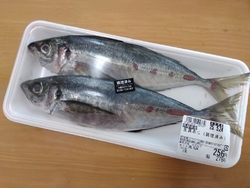 お魚の「市場祭...
