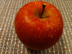 今日は大草りん...