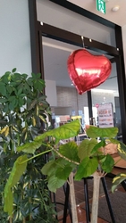 上三川いきいき...