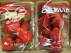 今年、初のいち...