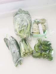 今回も新鮮お野...