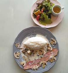 ランチタイム訪...