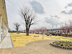 借りていた本を...