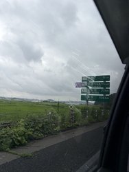 今日は桃を求め...