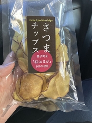 陶器市に行った...