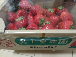 いちごを購入し...