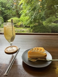 しとしと雨。雨...