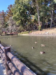 穏やかな天気の...