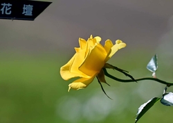 だいぶ寒くなっ...