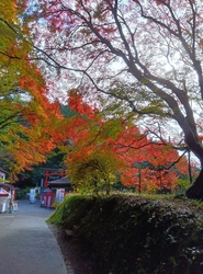 平日の早い時間...