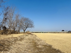 家族で石井方面...