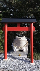 カエルが新たに...