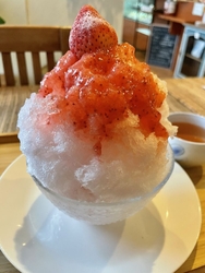 夏になると、こ...