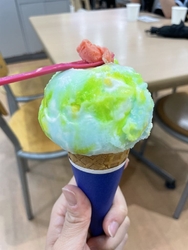 夏のおやつはサ...