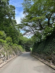 数年気になって...