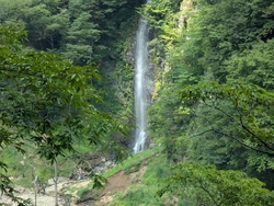 駐車場に車を停...