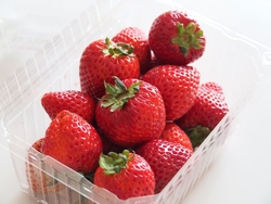 入口付近に大き...