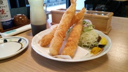 宇都宮テラスの...