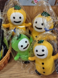 2週間続けての...