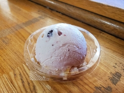美味しいジェラ...