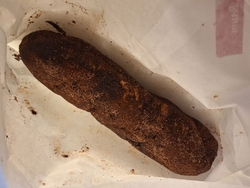 母が、子どもた...